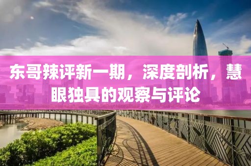 東哥辣評新一期，深度剖析，慧眼獨具的觀察與評論