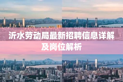 沂水勞動(dòng)局最新招聘信息詳解及崗位解析