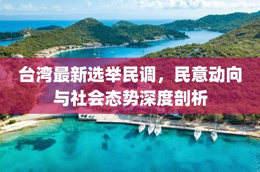 臺灣最新選舉民調，民意動向與社會態(tài)勢深度剖析