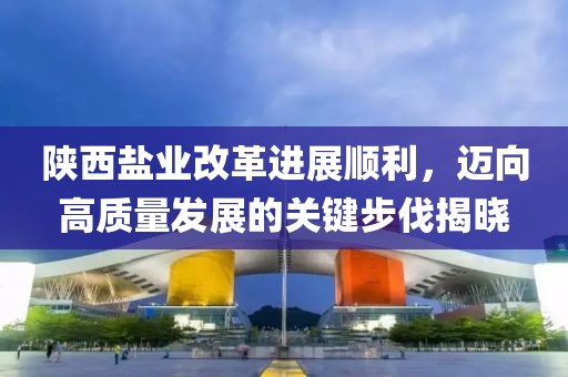 陜西鹽業(yè)改革進展順利，邁向高質(zhì)量發(fā)展的關(guān)鍵步伐揭曉