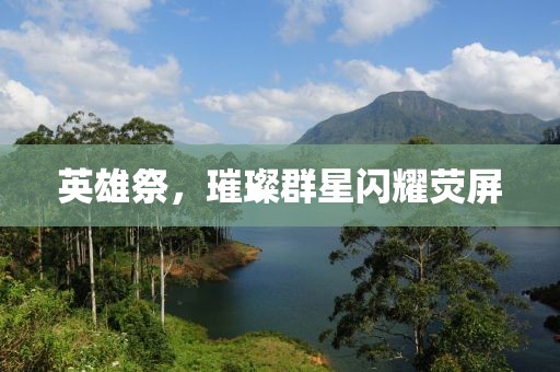 英雄祭，璀璨群星閃耀熒屏
