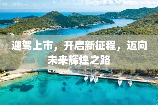 迎駕上市，開啟新征程，邁向未來輝煌之路