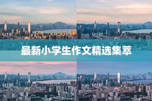 最新小學(xué)生作文精選集萃