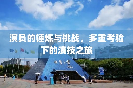 演員的錘煉與挑戰(zhàn)，多重考驗(yàn)下的演技之旅