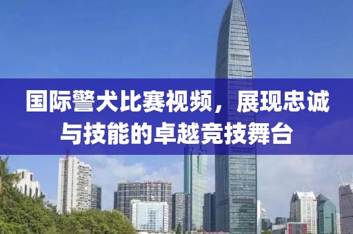 國際警犬比賽視頻，展現(xiàn)忠誠與技能的卓越競技舞臺(tái)