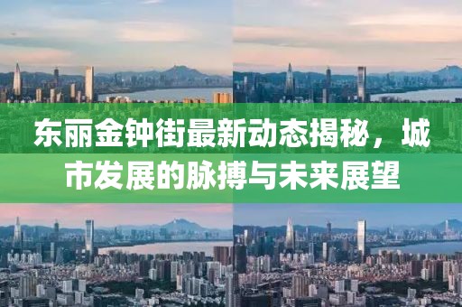 東麗金鐘街最新動(dòng)態(tài)揭秘，城市發(fā)展的脈搏與未來展望