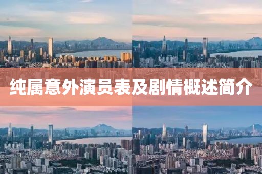 純屬意外演員表及劇情概述簡(jiǎn)介