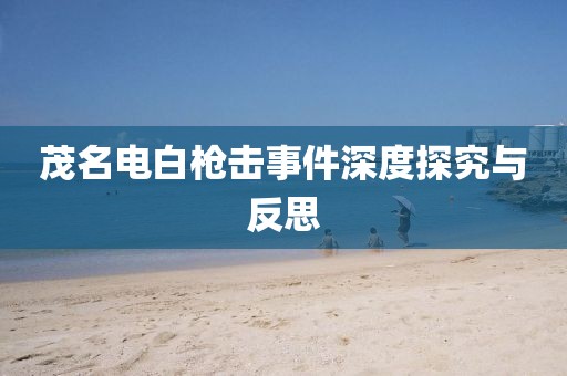 茂名電白槍擊事件深度探究與反思