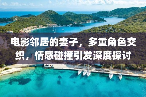 電影鄰居的妻子，多重角色交織，情感碰撞引發(fā)深度探討