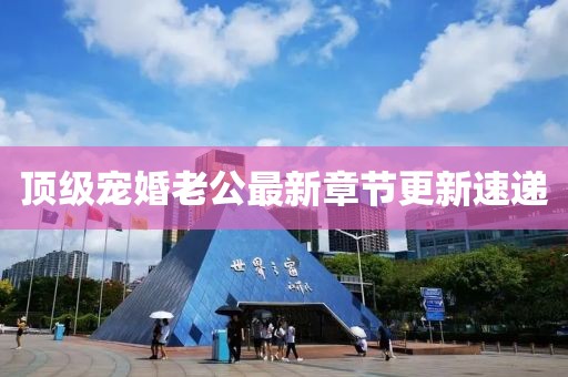 頂級寵婚老公最新章節(jié)更新速遞