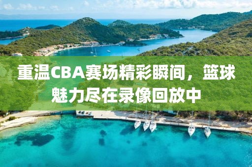 重溫CBA賽場精彩瞬間，籃球魅力盡在錄像回放中