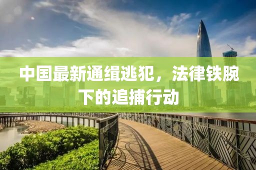 中國最新通緝逃犯，法律鐵腕下的追捕行動(dòng)