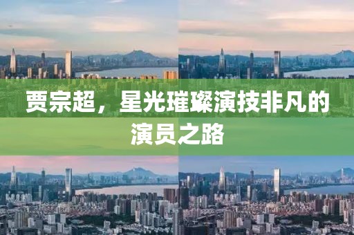 賈宗超，星光璀璨演技非凡的演員之路