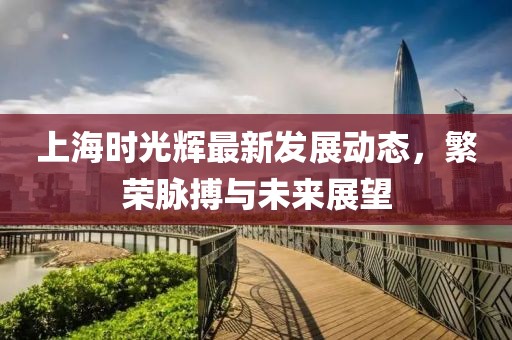 上海時光輝最新發(fā)展動態(tài)，繁榮脈搏與未來展望