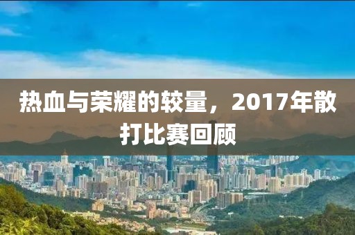 熱血與榮耀的較量，2017年散打比賽回顧