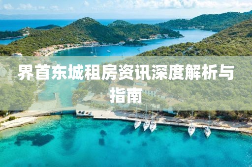 界首東城租房資訊深度解析與指南