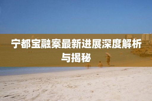 寧都寶融案最新進(jìn)展深度解析與揭秘