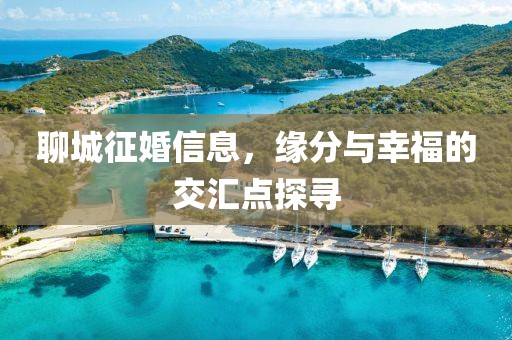 聊城征婚信息，緣分與幸福的交匯點探尋