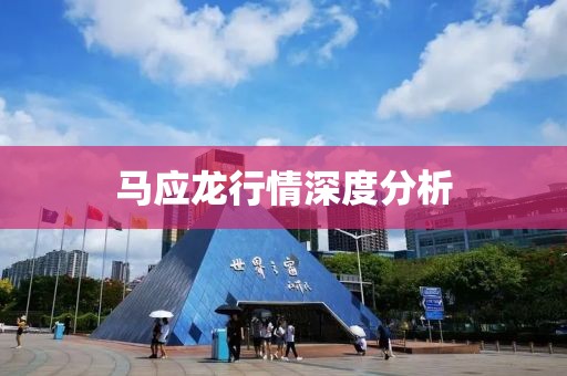馬應(yīng)龍行情深度分析