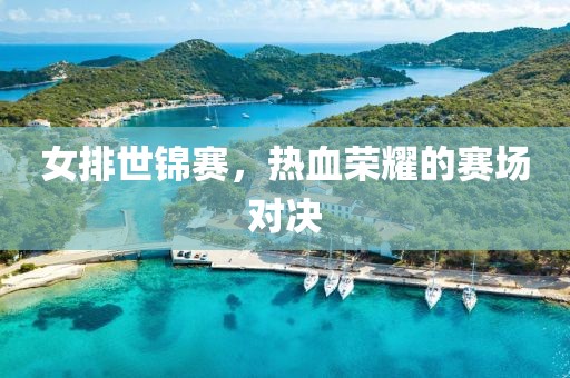 女排世錦賽，熱血榮耀的賽場對決