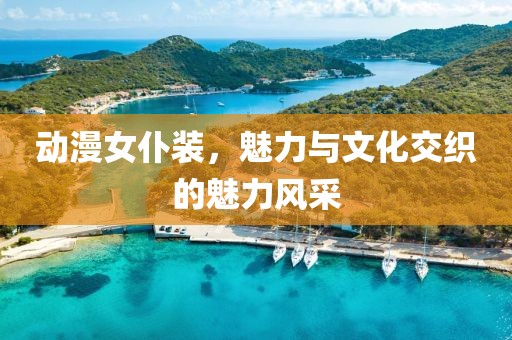 動漫女仆裝，魅力與文化交織的魅力風(fēng)采