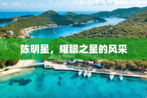 陳明星，耀眼之星的風(fēng)采