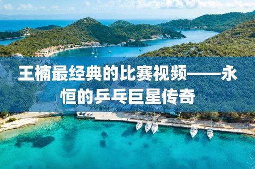王楠最經(jīng)典的比賽視頻——永恒的乒乓巨星傳奇