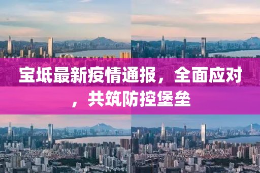寶坻最新疫情通報，全面應(yīng)對，共筑防控堡壘