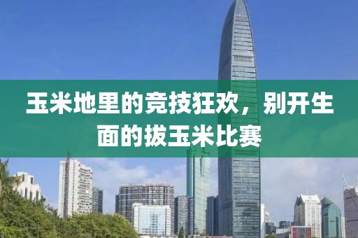 玉米地里的競技狂歡，別開生面的拔玉米比賽