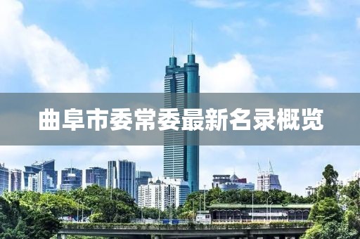 曲阜市委常委最新名錄概覽