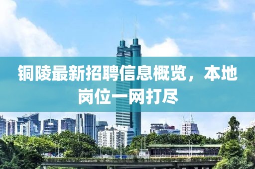 銅陵最新招聘信息概覽，本地崗位一網(wǎng)打盡