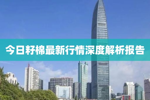 今日籽棉最新行情深度解析報告