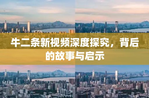 牛二條新視頻深度探究，背后的故事與啟示