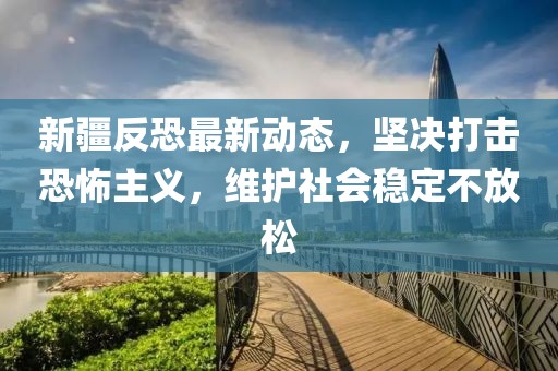新疆反恐最新動態(tài)，堅決打擊恐怖主義，維護(hù)社會穩(wěn)定不放松