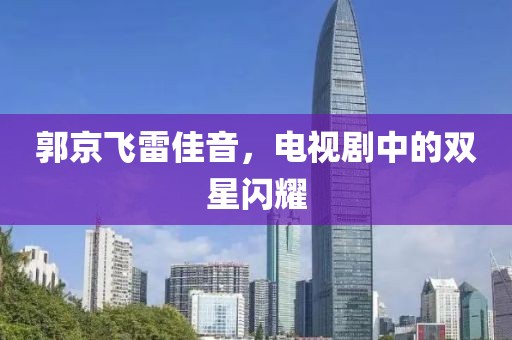 郭京飛雷佳音，電視劇中的雙星閃耀