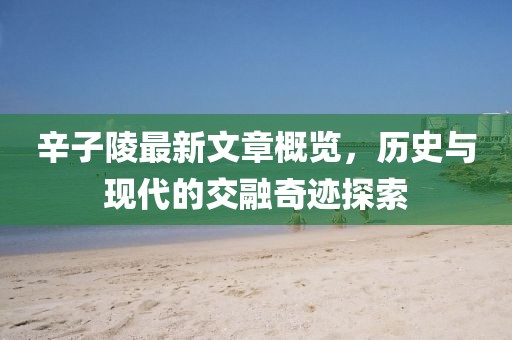 辛子陵最新文章概覽，歷史與現(xiàn)代的交融奇跡探索