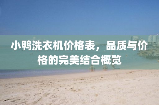 小鴨洗衣機(jī)價(jià)格表，品質(zhì)與價(jià)格的完美結(jié)合概覽