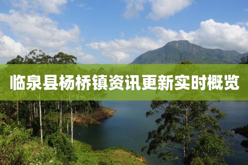 臨泉縣楊橋鎮(zhèn)資訊更新實(shí)時概覽