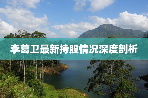 李葛衛(wèi)最新持股情況深度剖析