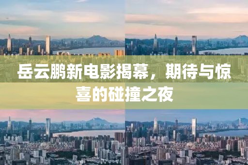 岳云鵬新電影揭幕，期待與驚喜的碰撞之夜