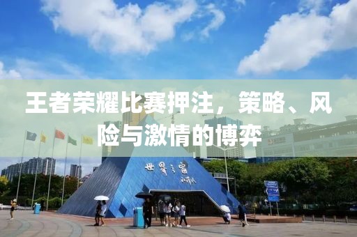 王者榮耀比賽押注，策略、風(fēng)險(xiǎn)與激情的博弈