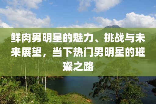 鮮肉男明星的魅力、挑戰(zhàn)與未來(lái)展望，當(dāng)下熱門(mén)男明星的璀璨之路