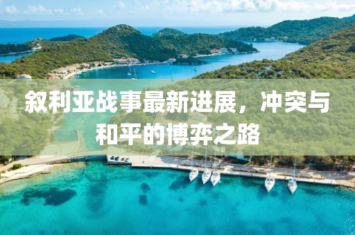 敘利亞戰(zhàn)事最新進(jìn)展，沖突與和平的博弈之路
