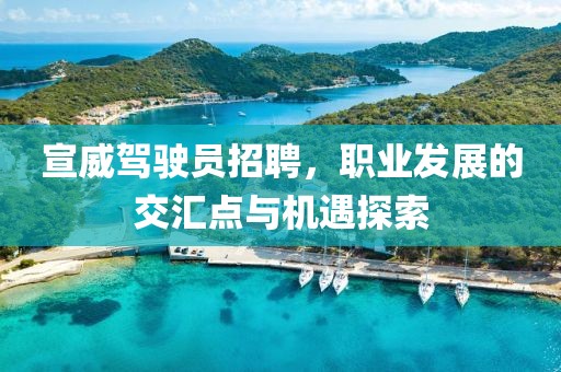 宣威駕駛員招聘，職業(yè)發(fā)展的交匯點(diǎn)與機(jī)遇探索
