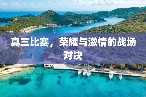 真三比賽，榮耀與激情的戰(zhàn)場對(duì)決