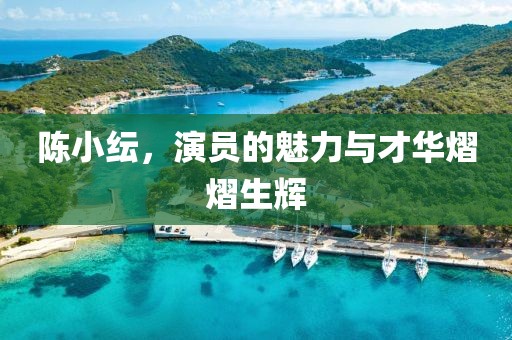 陳小紜，演員的魅力與才華熠熠生輝