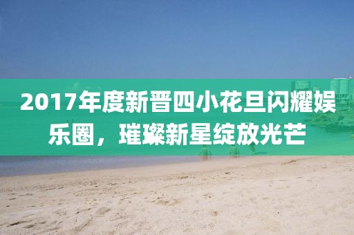 2017年度新晉四小花旦閃耀娛樂圈，璀璨新星綻放光芒
