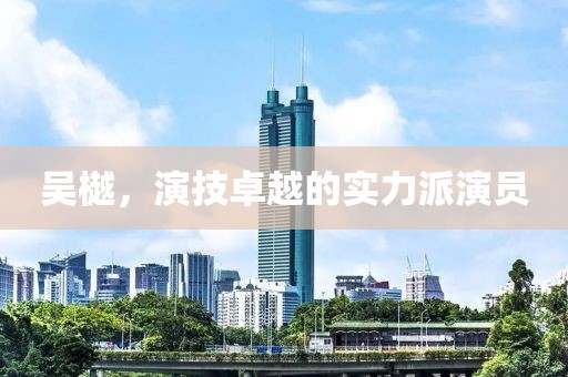 吳樾，演技卓越的實(shí)力派演員