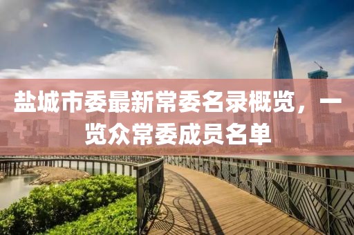 鹽城市委最新常委名錄概覽，一覽眾常委成員名單