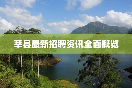 莘縣最新招聘資訊全面概覽